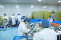 Groothandel Bulk Chinese Rode Dadelpoeder Jujube Fruitextract Voedingsmiddelenkwaliteit Vacuüm verpakt Trommel