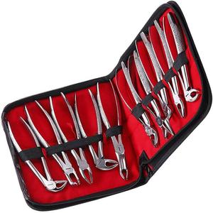 Juego de Instrumentos Quirúrgicos Dentales de Acero Inoxidable Manuales de Alta Calidad para Hospital Dental Profesional, Incluye Pinzas de Extracción - Product Image 4