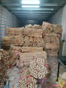 เชือกผักตบชวาแห้งยาวเชือกถักทนทานทนทานสำหรับการทำผลิตภัณฑ์หัตถกรรม - Product Image 3