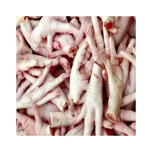 Halal Frozen Chicken Feet/Chicken Paws Top Selling Premium Halal Frozen Whole Chicken Feet