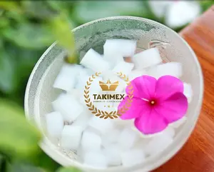 用于饮用ISO HACCP认证的软椰子果冻水果/糖浆调味汁Nata De Coco