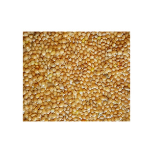 Top Grade Yellow <b>Millet</b> Wholesale Stock Available At Competitive Factory Price - Product Image 2