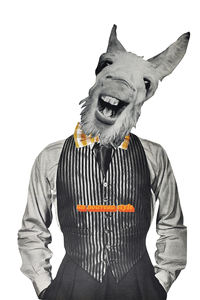 Postales con collage de animales 15x10cm - Collage sarcástico - Product Image 2