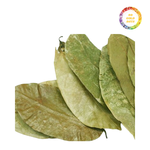 ใบกริโอลาถูกเก็บเกี่ยวและตากแห้งในเวียดนามเพื่อใช้ในการผลิตถุงชาการขายส่วนผสม B2B และอื่นๆ - Product Image 3