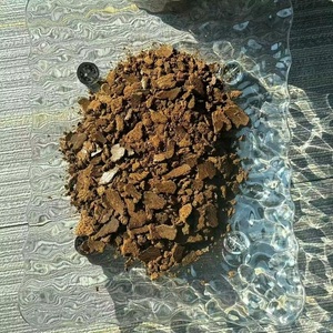 Harina de Semilla de Algodón Rica en Proteínas para Alimentación de Cerdos, Caballos y Peces, Alta Calidad, 25 kg/bolsa, Entrega Rápida - Product Image 4