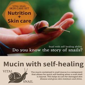 Vital Snail Men's Personalizable OEM PDRN Vegan ODM Eficaz Coreano Belleza Nutrición Hidratante Coreano Cuidado DE LA PIEL Tónico - Product Image 4