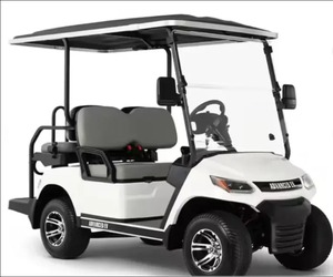 2024 100% nouvelle voiturette de golf électrique 4 passagers prête à être expédiée avec personnalisation OEM au lithium-ion de qualité bricolage - Product Image 1