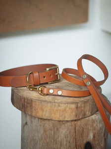 Conjunto de Collar y correa para perro, 30mm de ancho - Product Image 5