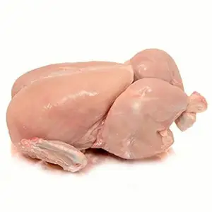 Poulet entier congelé Halal de haute qualité Europe