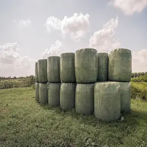 Silage Premium untuk dijual | Lucerne Silage Hay & Bales | Pasure untuk dijual