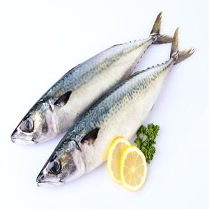 Caballa congelada asequible a la venta - Product Image 6