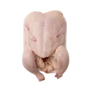 Offre Spéciale Poulet entier congelé à bas prix pour la vente - Product Image 1
