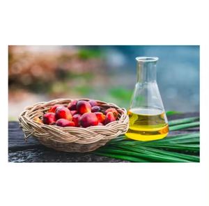 Huile de palme raffinée en vrac à vendre, excellente qualité pour la cuisine et la fabrication alimentaire, livraison rapide dans le monde entier - Product Image 6