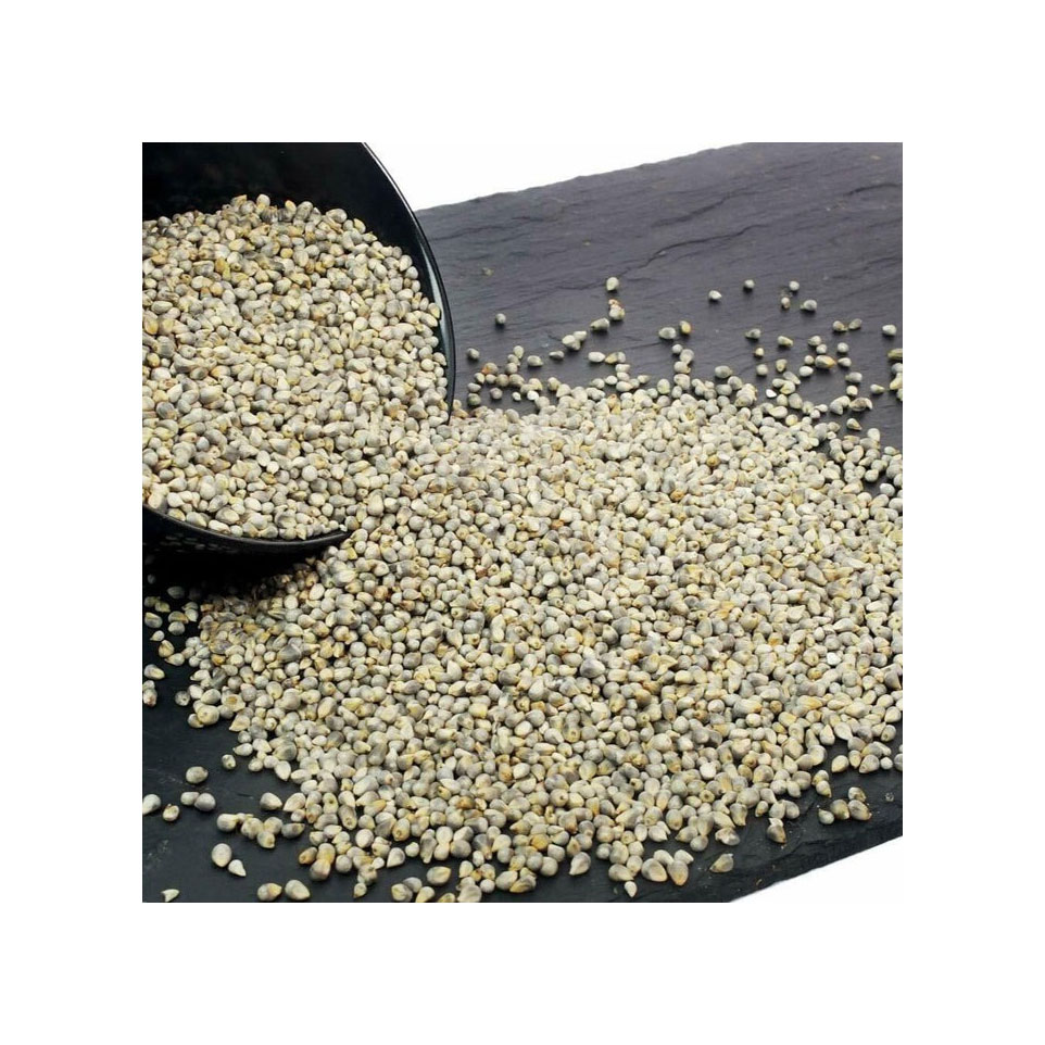 Organic millet feed for sale used to nourish poultry and small animals with essential nutrients
