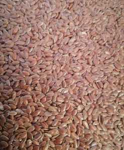 Semillas de lino orgánicas y sin OGM al por mayor, técnica de rosa de alta calidad procesada en seco natural - Product Image 3