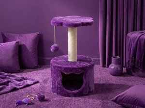 Petite niche pour chat Violet Blossom avec une touche ludique - Product Image 3