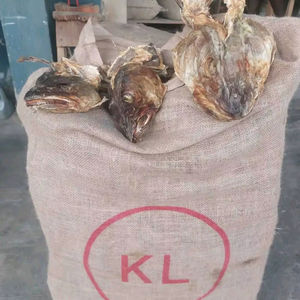 ปลาแช่แข็ง IQF อายุการเก็บรักษา 12 เดือน ราคาขายส่ง พร้อมจัดส่งรวดเร็วสำหรับร้านอาหาร โรงแรม และครัวเรือน - Product Image 1