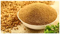 Poudre de fenugrec AD séchée de fabricant indien, produit alimentaire et boisson très demandé, 1kg, prix de gros, matière première