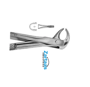 Fórceps de extracción de acero inoxidable de alta calidad incisivos inferiores Fig 105 exportadores y fabricante - Product Image 5