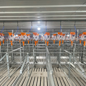 Jaulas de gestación de cerdo al precio más barato para cerdos en gestación Fabricante de Vietnam de acero inoxidable - Product Image 2