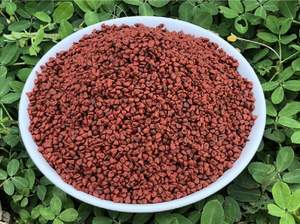 Couleur alimentaire annatto NATUREL SÉCHÉ ANNATTO CARI PRIX COMPÉTITIF MEILLEURE VENTE DU VIETNAM - Product Image 3