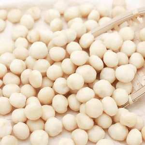 Nueces de macadamia crudas, orgánicas y premium en venta - Product Image 6