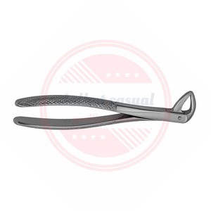 Forceps dentaires incurvés à vendre/Forceps d'extraction de dents dentaires d'équipement dentaire de haute qualité - Product Image 2