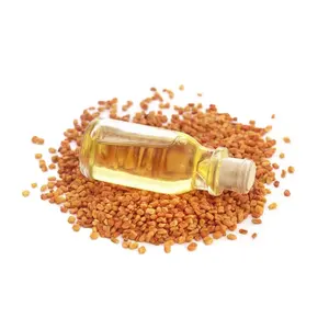 Dầu Hạt Fenugreek 100% Tinh Khiết Nhu Cầu Lớn Hữu Cơ Từ Các Nhà Cung Cấp Bán Buôn Từ Ấn Độ Giao Hàng Nhanh Giá Cả Hợp Lý