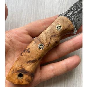 Couteau de camping de poche en acier Damas fait main avec manche en bois d'olivier, étui en cuir fin, personnalisable OEM - Product Image 5