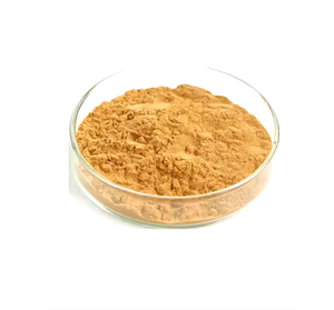 Poudre d'extrait de Cissus Repens à base de plantes, rapport 10:1 et 50:1, qualité alimentaire, approvisionnement en vrac, qualité supérieure et prix compétitif - Product Image 3