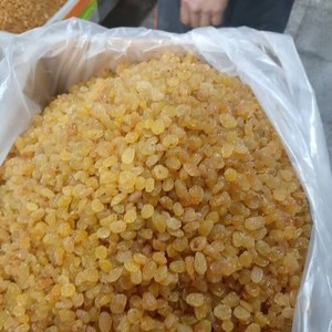 Pasas doradas de fruta secada al sol a la venta - Product Image 4