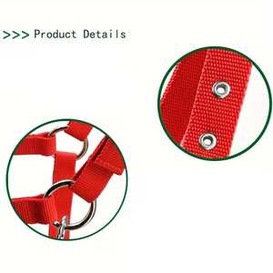 Licol de luxe pour chevaux à dégagement rapide, en sangle de polypropylène rembourrée, avec placage nickelé en alliage de zinc et perles - Product Image 2