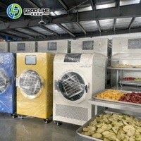 Machine de lyophilisation domestique OEM pour fruits et légumes, sécheur par congélation sous vide