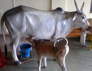 Venta caliente escultura de Cruz occidental personalizada estatuas de vaca indias religiosas en mármol negro suministros de jardín venta estilo de entrenamiento - Product Image 4