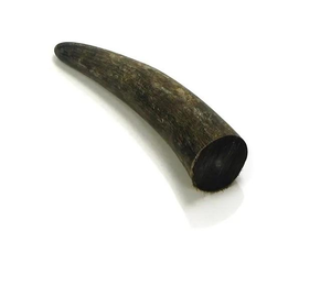 Vente en gros de pointes de corne de buffle naturelles de qualité supérieure, écologiques, style amour, forme artisanale, cadeau d'affaires, taille L SANIYA - Product Image 2