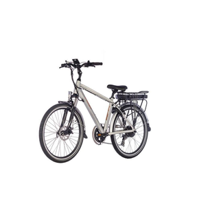 e-Ranger Overlander de haute qualité et abordable - Argent - Product Image 5