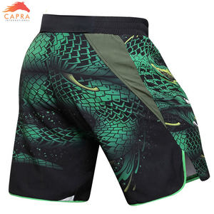 2025 personnaliser la qualité en gros Style chaud Mma coup de pied boxe MuayThai Arts martiaux combat Shorts - Product Image 4