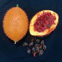 GRAINES DE GAC BIO DE PREMIUM POUR UNE FORCE IMMUNITAIRE QUOTIDIENNE SANTÉ DU FOIE ET UN SOUTIEN HOLISTIQUE PROPRE - Product Image 2