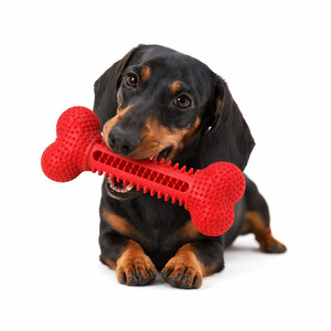 Giocattolo <span class=keywords><strong>da</strong></span> Masticare per Cani in TPR, Osso Dentale Interattivo per <span class=keywords><strong>Cuccioli</strong></span> e Cani di Piccola e Media Taglia - Product Image 6