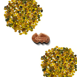 Trébol persa | Alimentación herbácea ecológica | Grado de ganado - Product Image 1