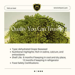 สาหร่ายองุ่นจากเวียดนามที่เก็บรักษาไว้พร้อมสำหรับการส่งออกในถุงเกลือ - Product Image 3