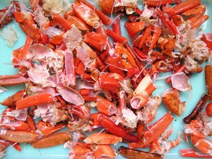 Premium Bulk Dried <b>Crab</b> <b>Shells</b> Cleaned Natural 5kg From Vietnam - Product Image 4