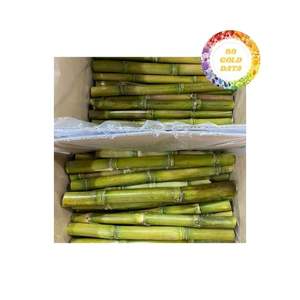 Segmentos de caña de azúcar congelados Auténtico Origen de Vietnam Ideal para procesamiento de jugo Servicio de alimentos y proveedores minoristas - Product Image 4