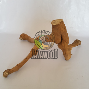 Meilleure vente Bain de soleil et lieu de détente pour les reptiles fabriqués à partir de bois durable solide et durable à un prix abordable - Product Image 5