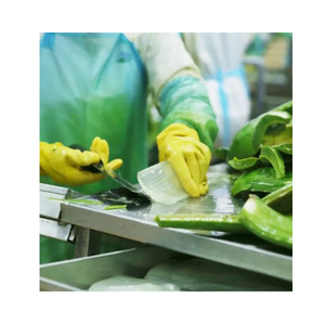 Cubes de gelée d'aloe vera en conserve du Vietnam |   Ingrédient de qualité supérieure pour les boissons et les desserts |   Approvisionnement en gros - Product Image 3