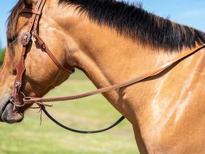 สายบังเหียนม้าหนังแท้ทนทาน รุ่น Rub International 7860R สีและขนาดปรับแต่งได้ สำหรับอุปกรณ์ขี่ม้า - Product Image 2