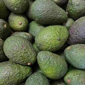 Avocats Hass de qualité supérieure en gros - Goût sucré, haute qualité, meilleur prix directement des producteurs - Product Image 3