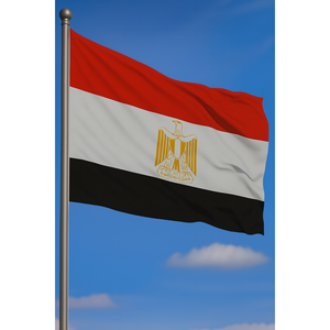 Bandera de Egipto para exteriores con logotipo personalizado, impresión digital, duradera, de aluminio, para exhibición en seguros automotrices, poliéster, seda, plástico - Product Image 3