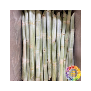 Caña de azúcar congelada fresca y dulce en bolsas de vacío Listo para usar Frescura de larga duración para fines culinarios y de jugo - Product Image 1