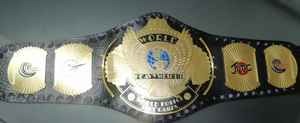 Cinturones de campeonato personalizados Trofeos Medallas y premios El símbolo definitivo de Victoria y excelencia Cinturones de Campeonato - Product Image 5